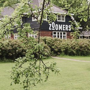 Zoomers Aan Het Bos